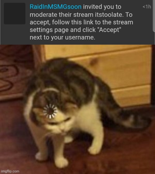 image tagged in loading cat | made w/ Imgflip meme maker