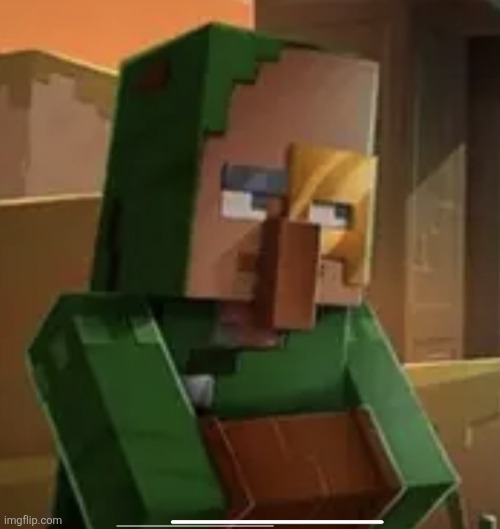 Mildly annoyed merchant | image tagged in mildly annoyed merchant | made w/ Imgflip meme maker