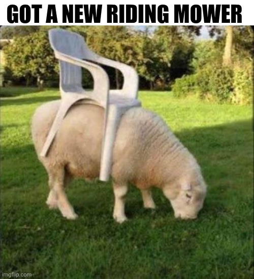 Got A New Riding Mower | GOT A NEW RIDING MOWER | image tagged in chrisjoines1 | made w/ Imgflip meme maker