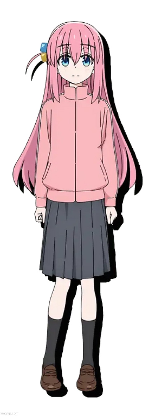 Hitori Gotoh | image tagged in hitori gotoh | made w/ Imgflip meme maker