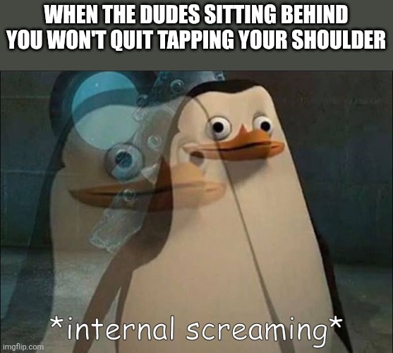 Private Internal Screaming | WHEN THE DUDES SITTING BEHIND YOU WON'T QUIT TAPPING YOUR SHOULDER | image tagged in private internal screaming | made w/ Imgflip meme maker