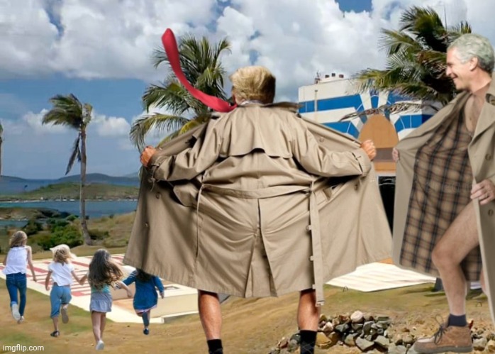 Jeffrey: "Hey Don, let's run down there and bang one of em little girls."
Trump: "No Jeffrey, let's walk down and bang em all!" | image tagged in trump,epstein,pedophiles,island | made w/ Imgflip meme maker