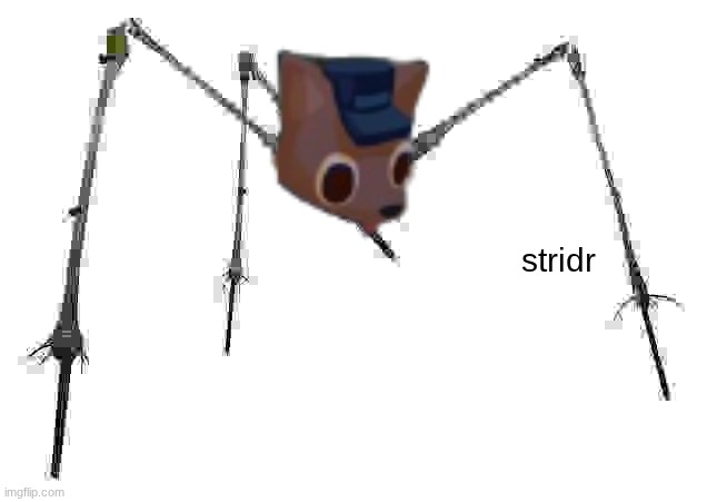 stridr | made w/ Imgflip meme maker
