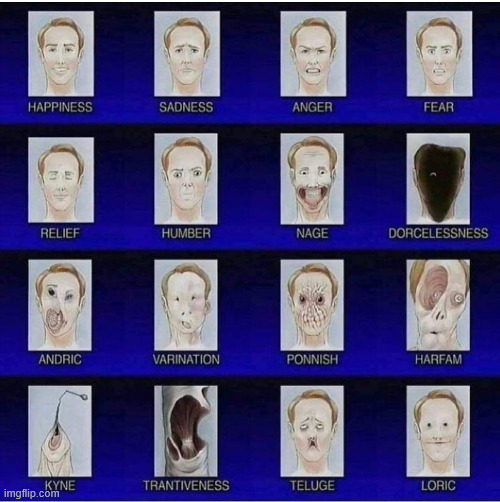 which one do you feel like today? | image tagged in funny | made w/ Imgflip meme maker