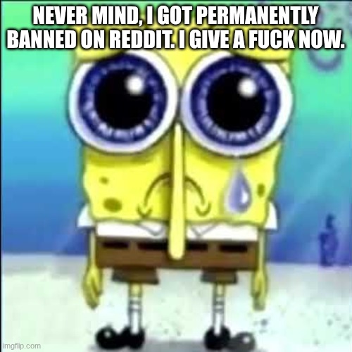 NEVER MIND, I GOT PERMANENTLY BANNED ON REDDIT. I GIVE A FUCK NOW. | image tagged in sad spongebob | made w/ Imgflip meme maker