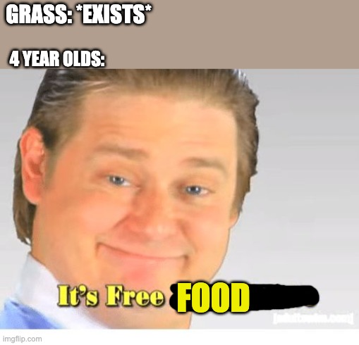 chew chomp crunch | GRASS: *EXISTS*; 4 YEAR OLDS:; FOOD | image tagged in it's free real estate,funny,toddler,real | made w/ Imgflip meme maker