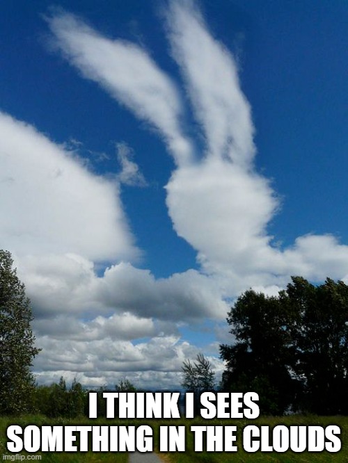 Cloud Bunny | I THINK I SEES SOMETHING IN THE CLOUDS | image tagged in bunnies | made w/ Imgflip meme maker