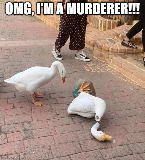 Goose Murder | OMG, I'M A MURDERER!!! | image tagged in goose | made w/ Imgflip meme maker