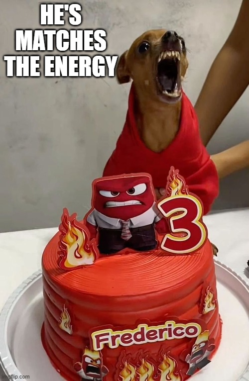 Angry Dog | HE'S MATCHES THE ENERGY | image tagged in dogs | made w/ Imgflip meme maker