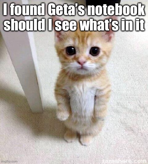 Cute Cat | I found Geta’s notebook should I see what’s in it | image tagged in memes,cute cat | made w/ Imgflip meme maker