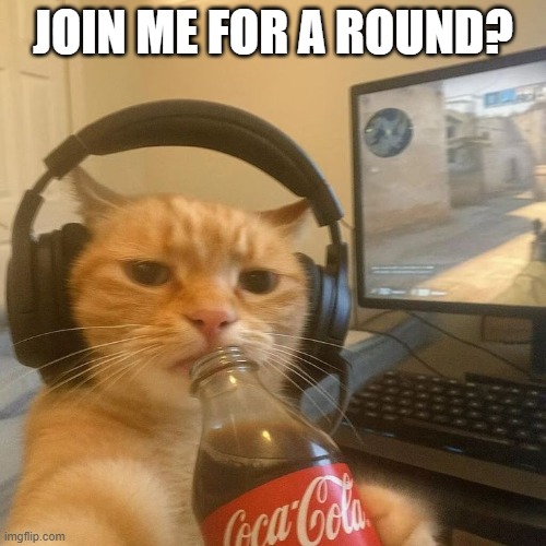 Gamer Kitty | JOIN ME FOR A ROUND? | image tagged in cats | made w/ Imgflip meme maker
