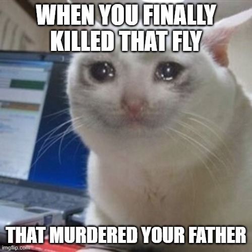 Crying cat | WHEN YOU FINALLY KILLED THAT FLY; THAT MURDERED YOUR FATHER | image tagged in crying cat | made w/ Imgflip meme maker