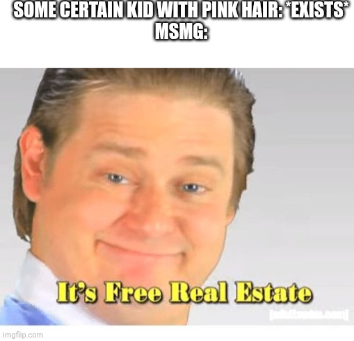 Dude they bullied her into deleting her acc | SOME CERTAIN KID WITH PINK HAIR: *EXISTS*
MSMG: | image tagged in it's free real estate | made w/ Imgflip meme maker