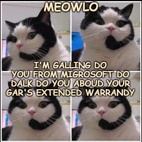 Cat caller | MEOWLO; I'M GALLING DO YOU FROM MIGROSOFT DO DALK DO YOU ABOUD YOUR GAR'S EXTENDED WARRANDY | image tagged in funny cat,funny | made w/ Imgflip meme maker