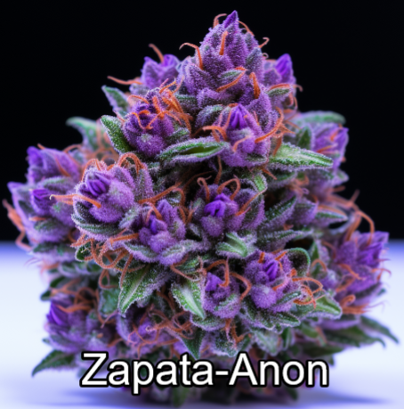 Purple Cannabis Blank Meme Template