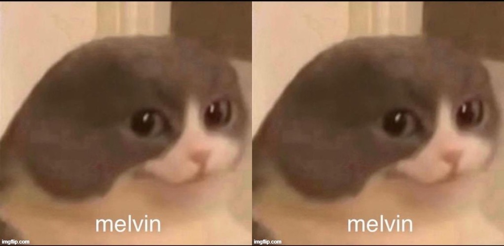 He duplicated himself | image tagged in melvin | made w/ Imgflip meme maker