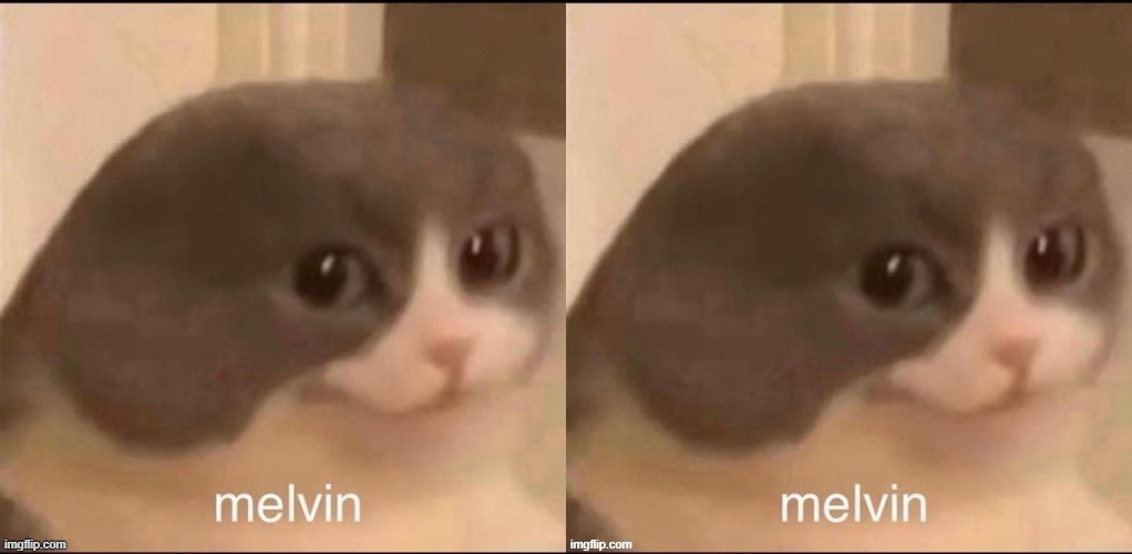 Every time this post gets an upvote, he'll duplicate himself | made w/ Imgflip meme maker