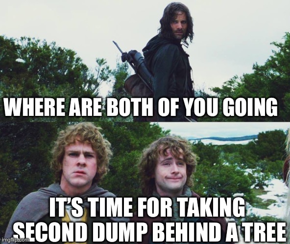 Aragorn Merry Pippin Second Breakast -Second _____ Things left out of movies | WHERE ARE BOTH OF YOU GOING; IT’S TIME FOR TAKING  SECOND DUMP BEHIND A TREE | image tagged in aragorn merry pippin second breakfast | made w/ Imgflip meme maker