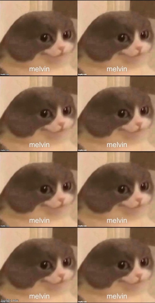 Every time this post gets an upvote, he'll duplicate himself | made w/ Imgflip meme maker