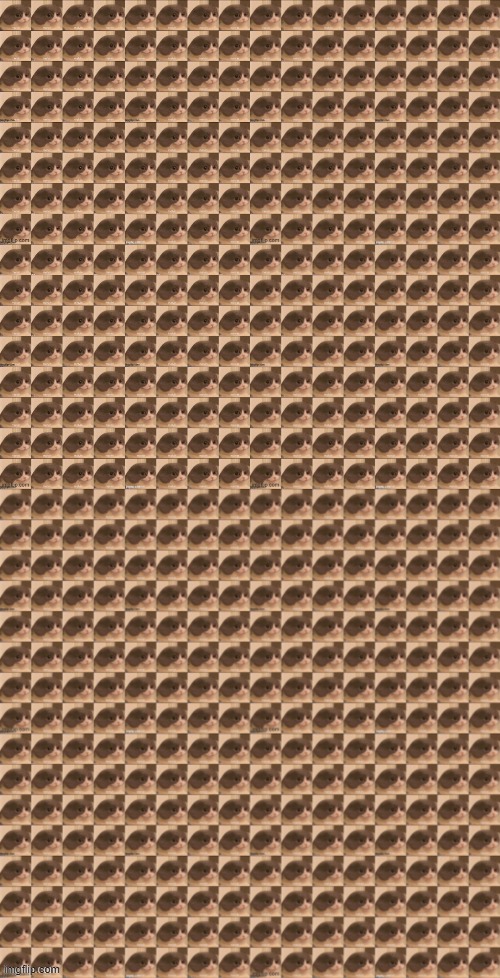 Every time this post gets an upvote, he'll duplicate himself | made w/ Imgflip meme maker