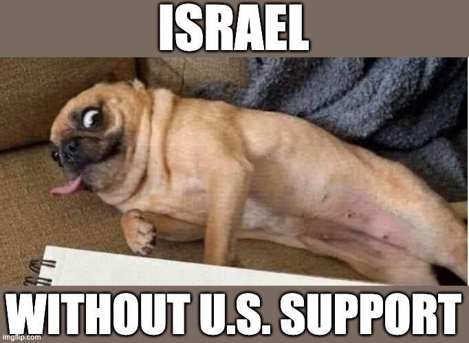 Israel as an ugly dog | ISRAEL; WITHOUT U.S. SUPPORT | image tagged in ugly dog | made w/ Imgflip meme maker