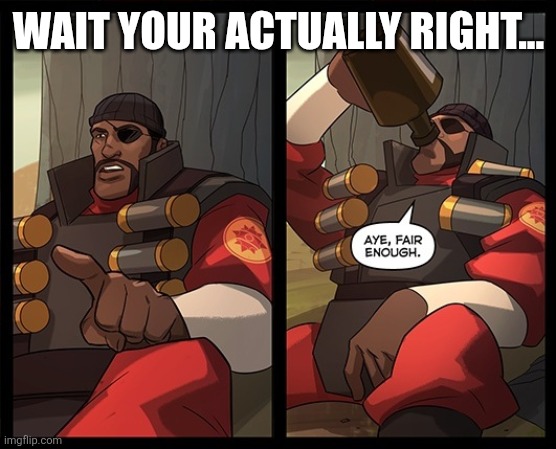 Aye Fair Enough | WAIT YOUR ACTUALLY RIGHT... | image tagged in aye fair enough | made w/ Imgflip meme maker