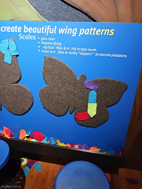 Gates Quiznos bubterflay (Milwaukee public museum) | made w/ Imgflip meme maker