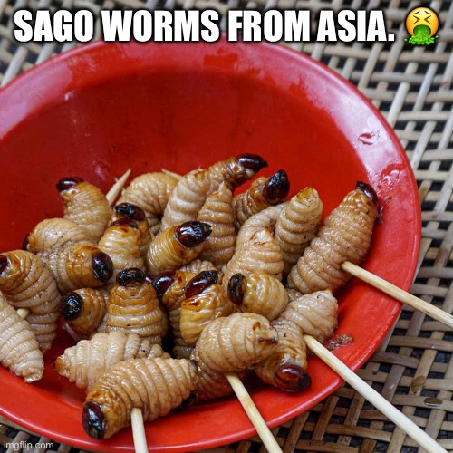 Sago Worms | SAGO WORMS FROM ASIA. 🤮 | image tagged in oh hell no,excuse me what the frick,worms,ewwww,nope nope nope,nasty food | made w/ Imgflip meme maker