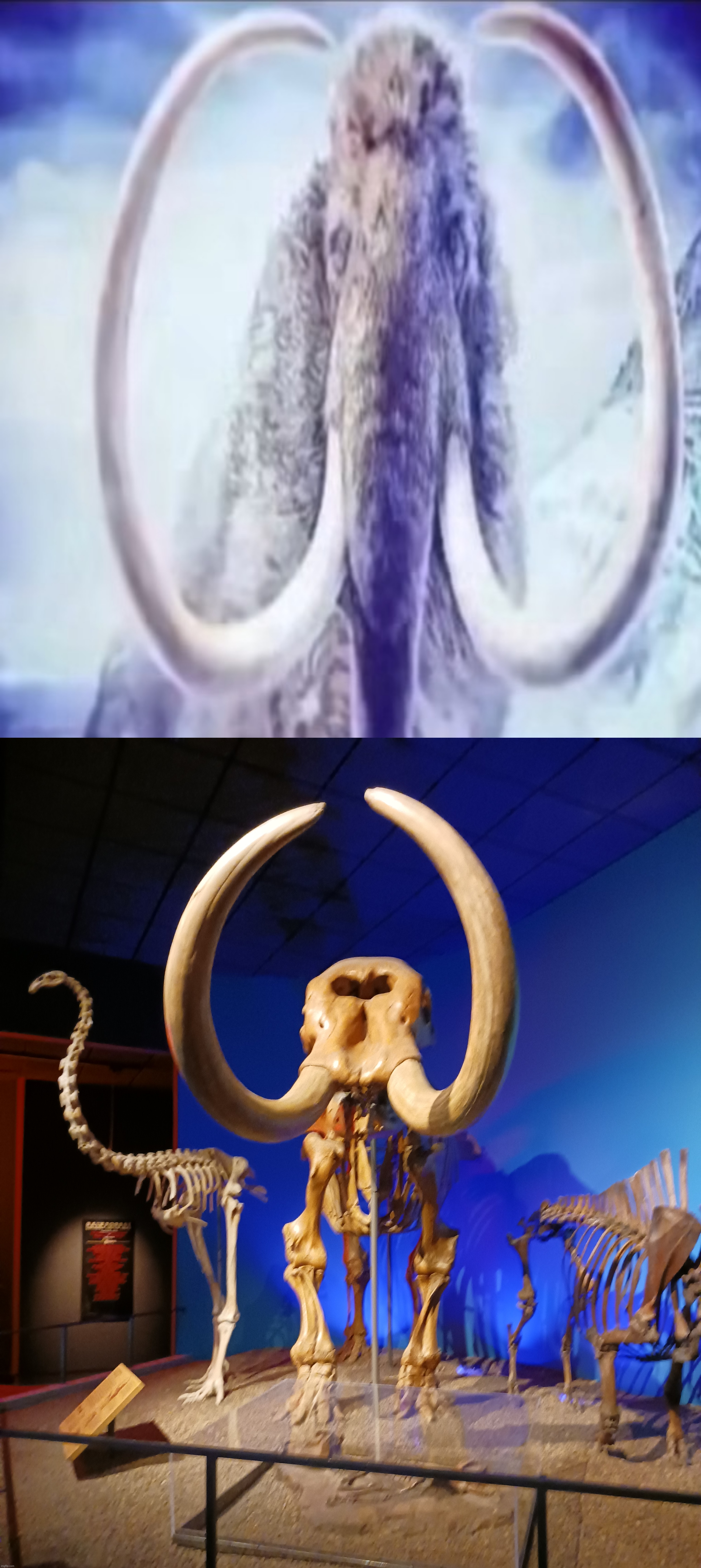 remember mammoth? him this is now. old yet feel? | image tagged in mammoth | made w/ Imgflip meme maker
