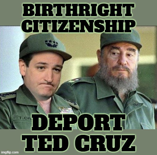 DEPORT TED "CANCUN" CRUZ | BIRTHRIGHT CITIZENSHIP; DEPORT TED CRUZ | image tagged in birthright citizenship,illegal,immigrant,ice,deport,ted cruz | made w/ Imgflip meme maker