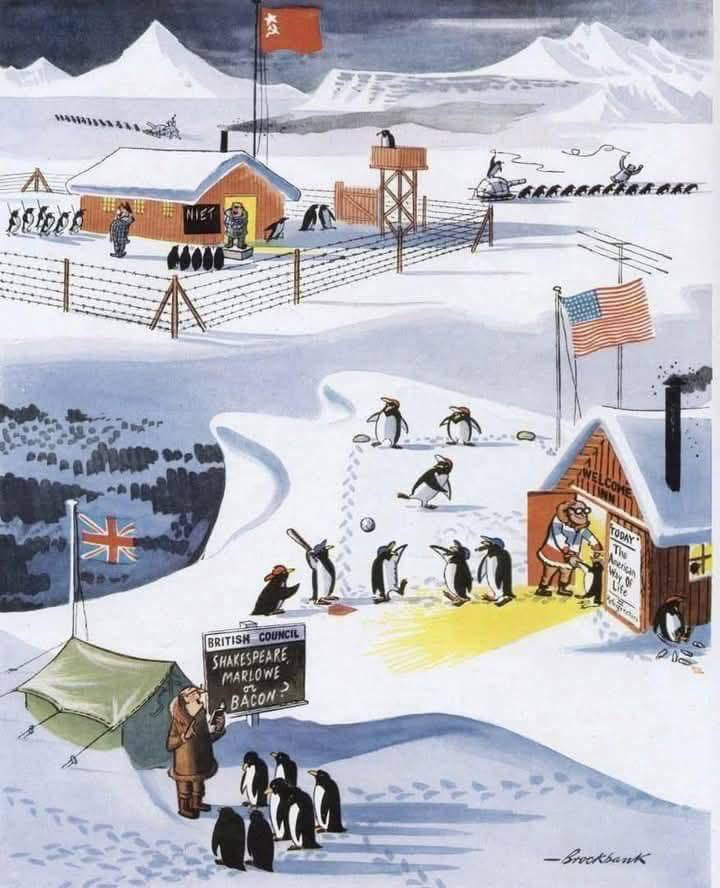 Penguins in camps Blank Meme Template