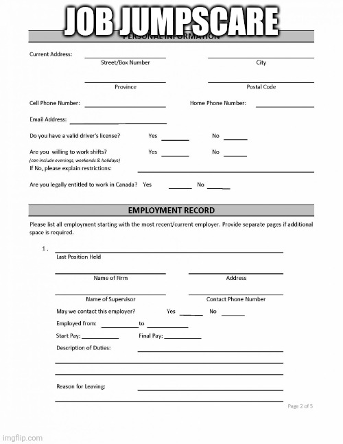 DONT SWEAR BUDDY, CENSOR IT NEXT TIME | JOB JUMPSCARE | image tagged in job application blank | made w/ Imgflip meme maker
