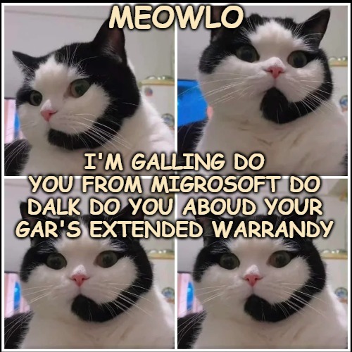 Cat caller | image tagged in funny cat,funny | made w/ Imgflip meme maker