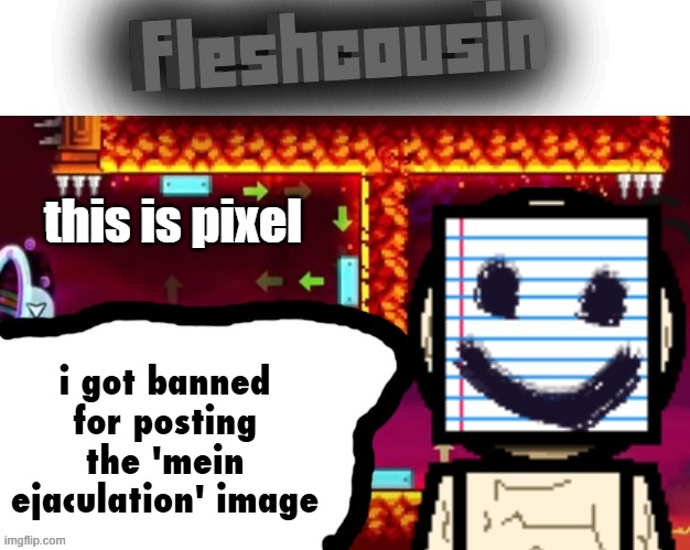 when msmgsite releases im gone | this is pixel; i got banned for posting the 'mein ejaculation' image | image tagged in fleshcousin temp 2 0 | made w/ Imgflip meme maker