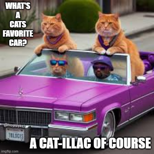 A cats favorite car is a Cat-illac.....Of course. | WHAT'S A CATS FAVORITE CAR? A CAT-ILLAC OF COURSE | image tagged in cats,funny,kittens,humor,cars,favorite | made w/ Imgflip meme maker