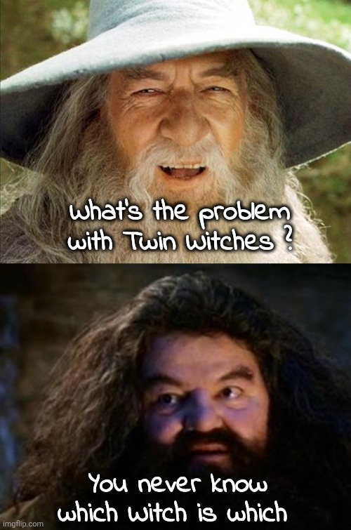 I'm sorry , don't smite me | What's the problem with Twin Witches ? You never know which Witch is which | image tagged in a wizard is never late,dad joke meme,which one,witches,which side are you on | made w/ Imgflip meme maker