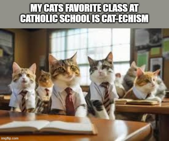 My cats favorite class at Catholic school is cat-echism. | MY CATS FAVORITE CLASS AT CATHOLIC SCHOOL IS CAT-ECHISM | image tagged in cats,funny,kittens,humor,catholic,school | made w/ Imgflip meme maker