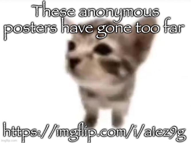 Nat is 13 please don’t do that | These anonymous posters have gone too far; https://imgflip.com/i/a1ez9g | image tagged in el gatito | made w/ Imgflip meme maker
