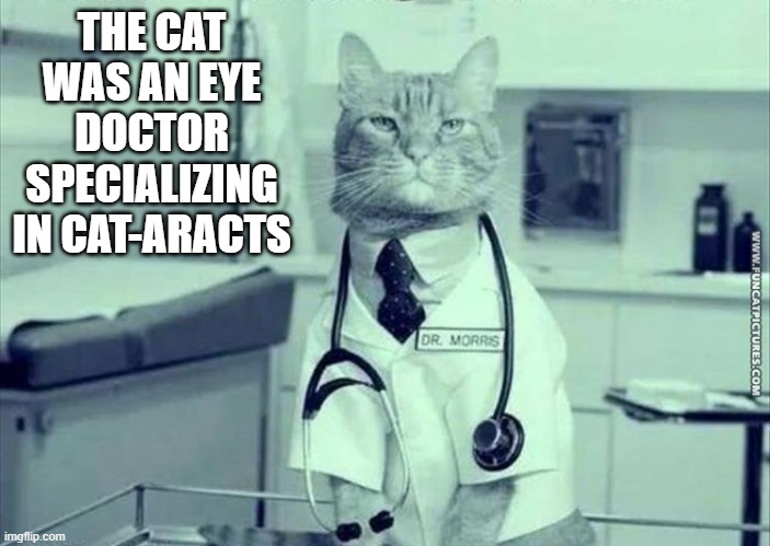 The cat became an eye doctor specializing in cat-aracts | THE CAT WAS AN EYE DOCTOR SPECIALIZING IN CAT-ARACTS | image tagged in cats,funny,kittens,humor,doctor,eyes | made w/ Imgflip meme maker