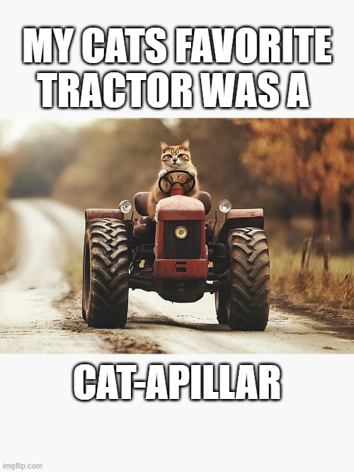 My cats favorite tractor is a cat-apillar......of course | MY CATS FAVORITE TRACTOR WAS A; CAT-APILLAR | image tagged in cats,funny,kittens,humor,tractor,caterpillar | made w/ Imgflip meme maker