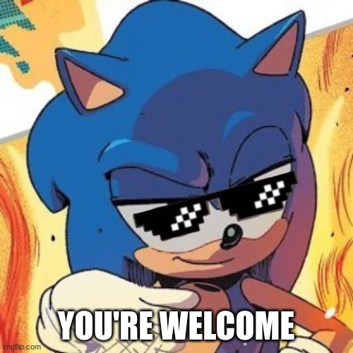 YOU'RE WELCOME | image tagged in cool sonic | made w/ Imgflip meme maker