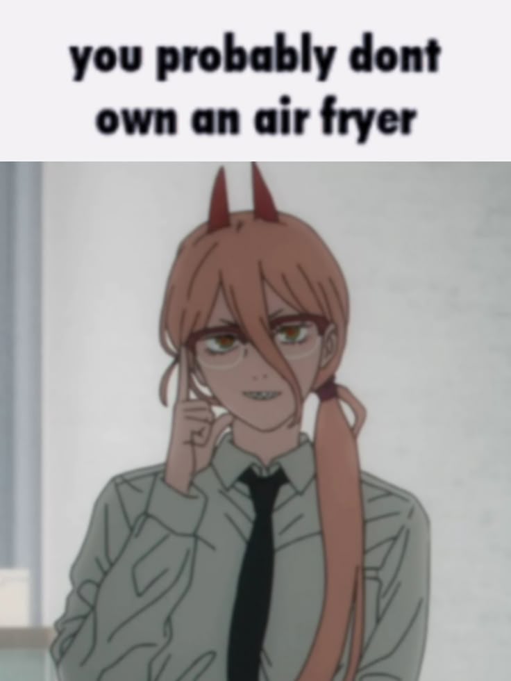 You probably don't own an air fryer Blank Meme Template