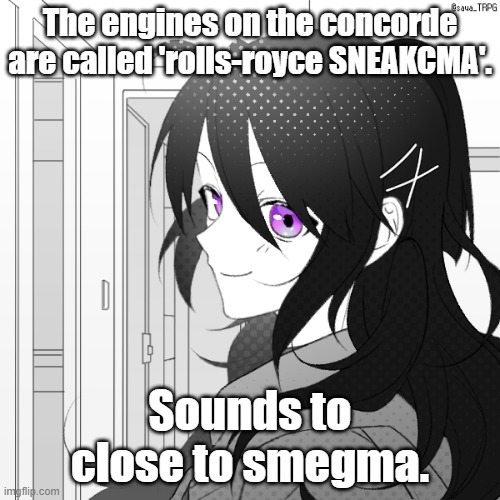 picrew of Miss Jasmine because my drawing skills are horrible | The engines on the concorde are called 'rolls-royce SNEAKCMA'. Sounds to close to smegma. | image tagged in picrew of miss jasmine because my drawing skills are horrible | made w/ Imgflip meme maker