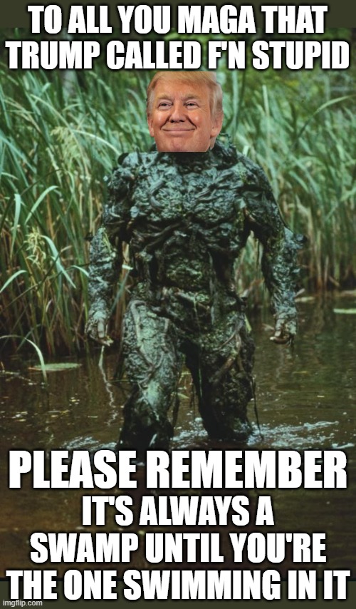 The Washington Swamp Thing | TO ALL YOU MAGA THAT TRUMP CALLED F'N STUPID; PLEASE REMEMBER; IT'S ALWAYS A SWAMP UNTIL YOU'RE THE ONE SWIMMING IN IT | image tagged in swamp thing,drain the swamp,drain the swamp trump,donald trump approves,everyone is stupid except me,special kind of stupid | made w/ Imgflip meme maker