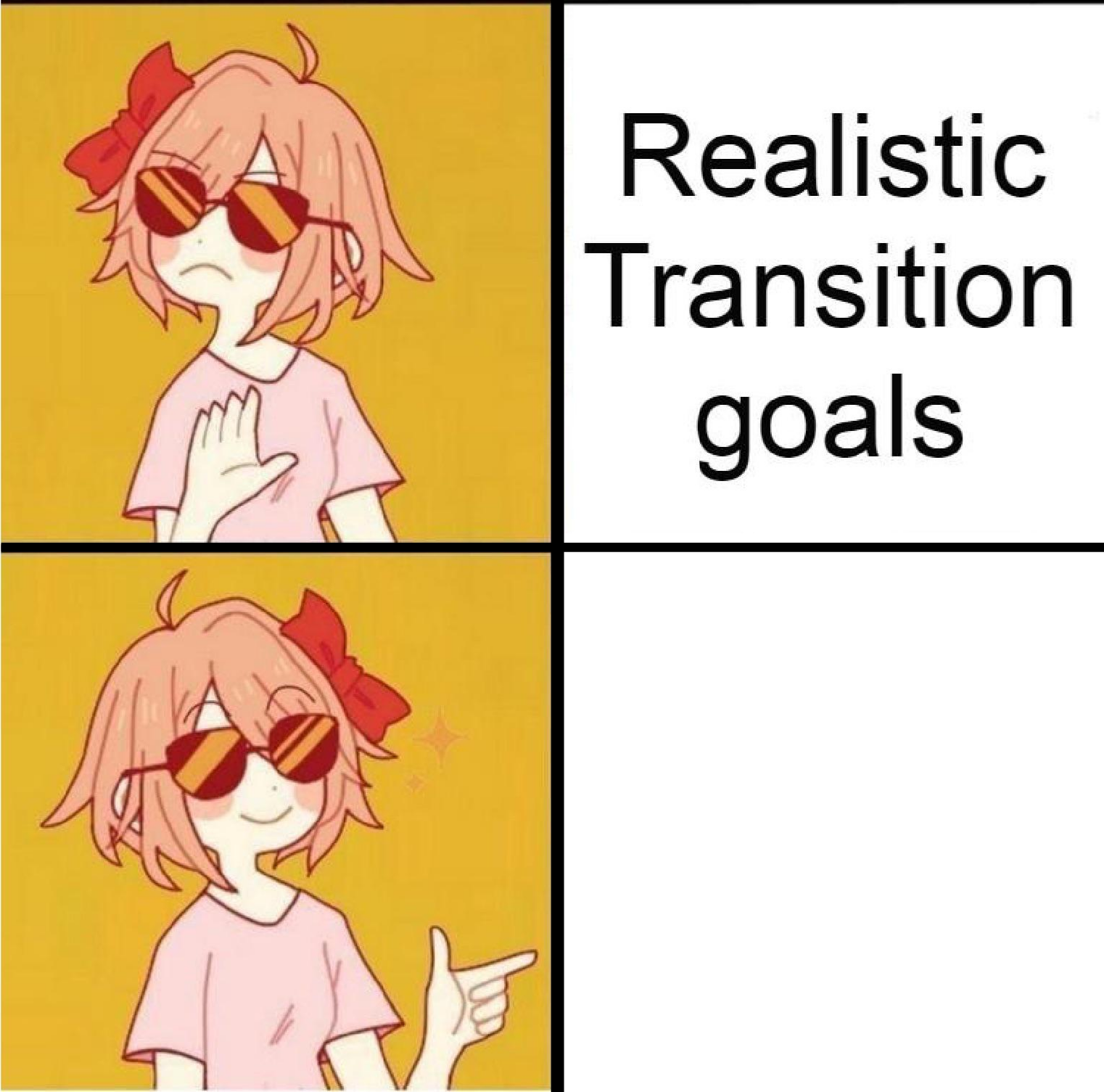 Realistic transition goals Blank Meme Template