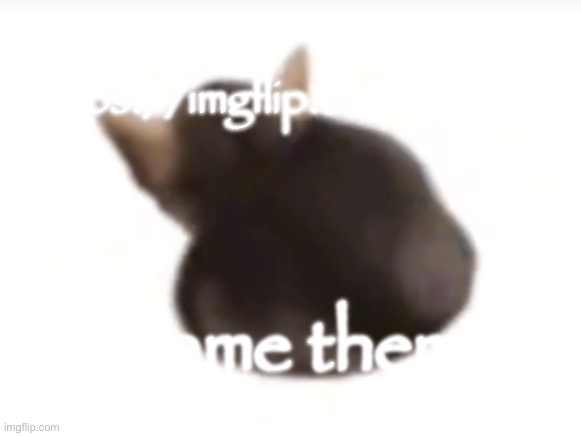 The humble image description: | https://imgflip.com/i/a1ez9g; Flame them | image tagged in twerking el gatito | made w/ Imgflip meme maker