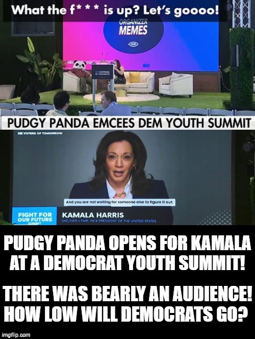 Pudgy Panda opens for Kamala (BEARLY ) anyone in the audience. | PUDGY PANDA OPENS FOR KAMALA AT A DEMOCRAT YOUTH SUMMIT! THERE WAS BEARLY AN AUDIENCE! HOW LOW WILL DEMOCRATS GO? | image tagged in pathetic | made w/ Imgflip meme maker