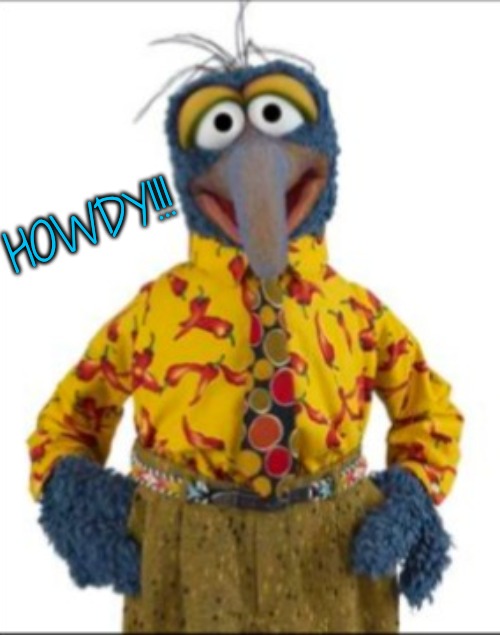 Gonzo | HOWDY!!! | image tagged in gonzo | made w/ Imgflip meme maker
