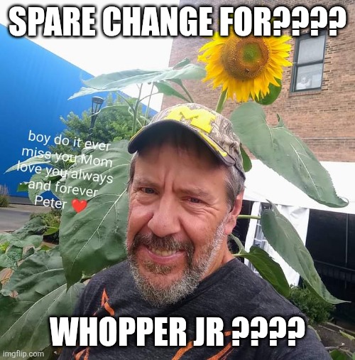 Spare Change For??? | SPARE CHANGE FOR???? WHOPPER JR ???? | image tagged in peter plant,burger king,whopper,homeless,memes | made w/ Imgflip meme maker