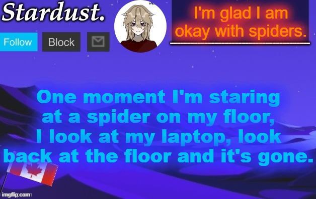stardust temp 3 | I'm glad I am okay with spiders. One moment I'm staring at a spider on my floor, I look at my laptop, look back at the floor and it's gone. | image tagged in stardust temp 3 | made w/ Imgflip meme maker